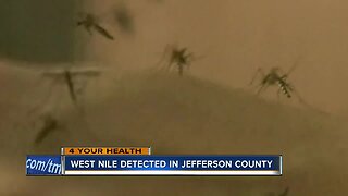 West Nile Virus detected in Jefferson County