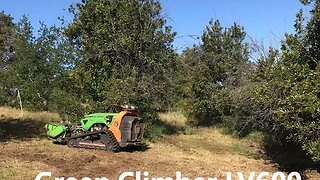 CAT 299D with Skid Steer Brush Mower Green Climber LV600 PLUS in Macadamia Grove + Oak