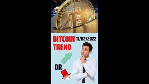 Trend based on the turnover of bitcoin whales 1K largest cryptocurrency wallets 11/02/2022 btc live