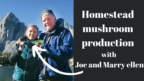 Mushrooms! A homestead conversation with Field and Forest