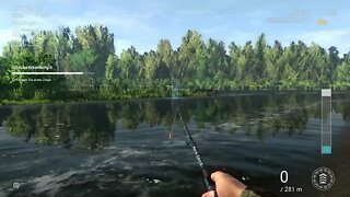 Fishing Planet Folge 522 eine dumme Ziege fangen Teil 1