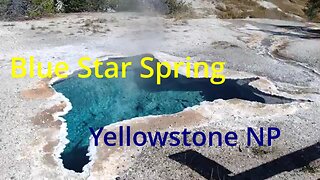 Blue Star Spring Yellowstone National Park