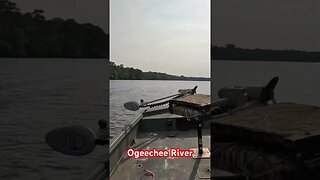 Cruising the River! #ogeechee #riverlife #bassfishing