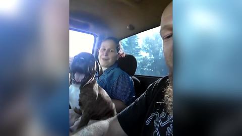 This ADORABLE Puppy Doesn't Understand Personal Space