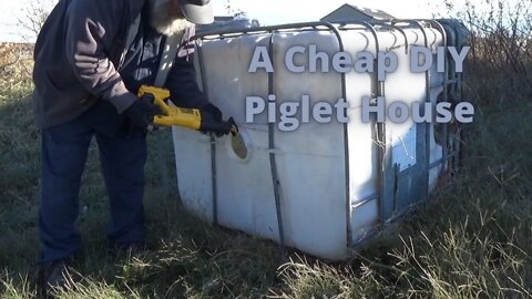 Preparing a House for the Piglets