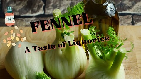 Fennel - A Taste of Liquorice