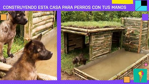 Casa para perros original