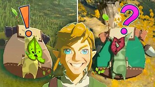 What Happens If You Bring A Korok To The WRONG Buddy?