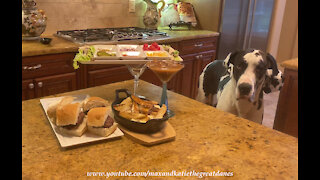 Chef Mikey The Great Dane Samples Stanley Cup Hockey Meal Of Poutine And Burgers And Predicts Winner