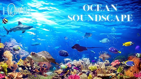 ONE HOUR | Oceanic Meditations: Exploring Calm Waters and Underwater Sounds