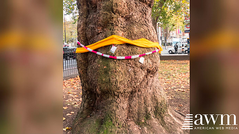 If You Ever See A Scarf Tied Around A Tree, Here’s The Reason For It