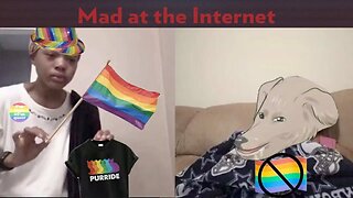 Everything I love is Turning Gay - Mad at the Internet