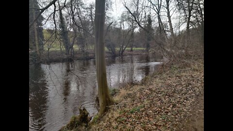 Springtime River Walk