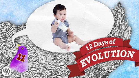 Are Humans Still Evolving? 12 Days of Evolution #11