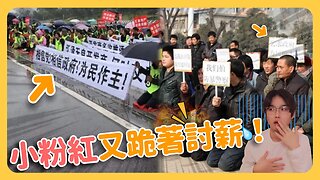 小粉紅「討薪」報警反而自己被抓！警方依「惡意討薪」刑拘！台灣普發6000元小粉紅問怎麼領？對比中國人討要薪資還要跪著？