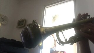 When The Roll Is Called with Live Trumpet Valve View