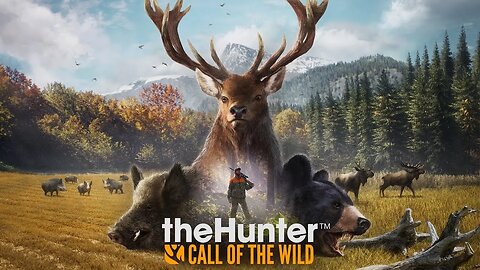 theHunter: Call of the Wild | Black Bears and Black Tails