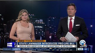 New Florida bill would ban abortions after heartbeat is detectable