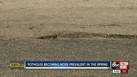 What's growing this Spring? Potholes!