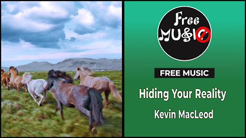 Hiding Your Reality - Kevin MacLeod