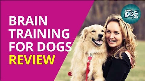 Brain Training for Dogs - Turn Your Dog into a Genius.