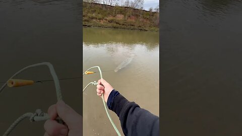 Winter Time Alligator Gar Fishing 🦖 #fishing