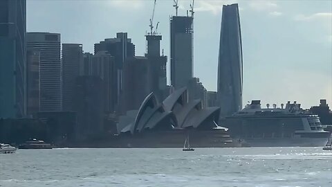 Views from Cremorne Point Walk