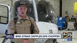 Bird strike cripples Arizona DPS chopper