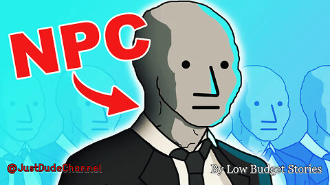 Life Of An NPC | Low Budget Stories