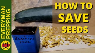 How to Save Garden Seeds Before You Can't Buy Them! A Must Do.