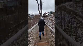 Ultimate Tree Bridges! - Part 10