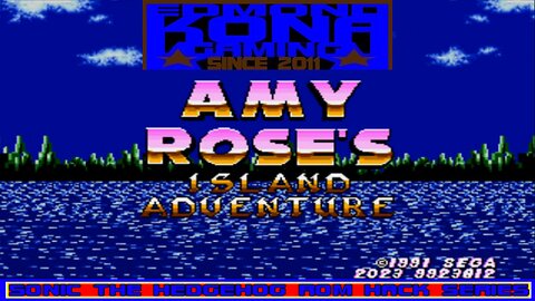 AMY ROSE'S ISLAND ADVENTURE ROM HACK