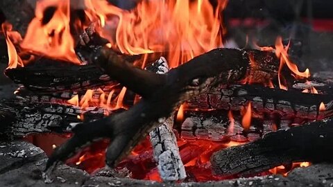 RELAXING 90MIN OF CAMPFIRE AMBIENCE🔥🪵 binaural campfire for sleep, relaxation or study #asmr