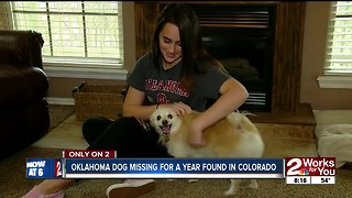 Oklahoma Dog missing for a year found in Colorado