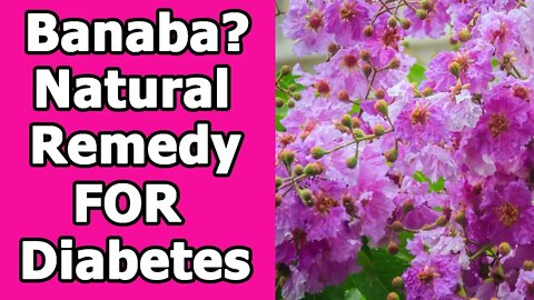 Banaba Natural Remedy for Diabetes [What is IT]