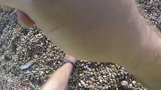 Mackerel Mayhem Montage - Mackerel Fishing At Chesil Beach-9