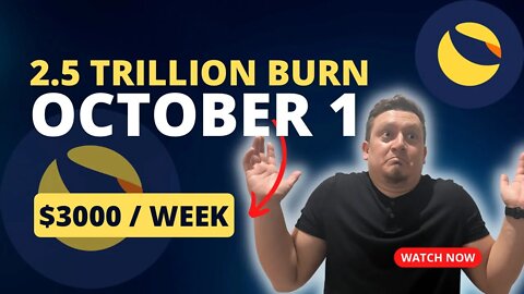 Terra classic 2.5 Trillion burns