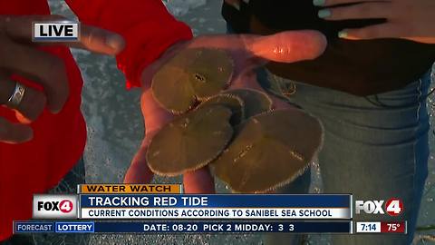 Tracking red tide conditions in Sanibel