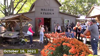 Walden Farm - Smyrna TN 2021