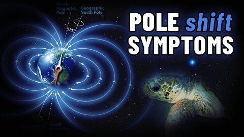 Is Earth's Magnetic Pole Shift Causing Animal Die-Offs? Symptoms of the Solar Cycle