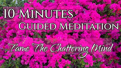 10 Minute Guided Meditation - Taming The Chattering Mind