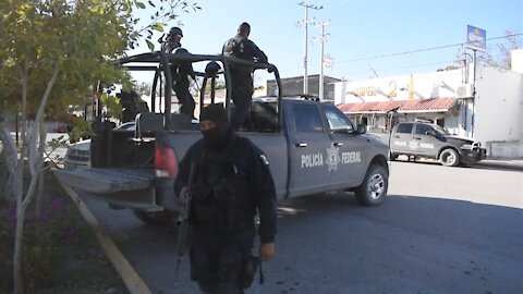 Should Mexican Drug Cartels be a Terror Organization