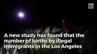 Anchor Baby Births Soar in LA, More Than 14 States' Totals