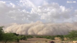 Cell phone footage captures enormous sandstorm