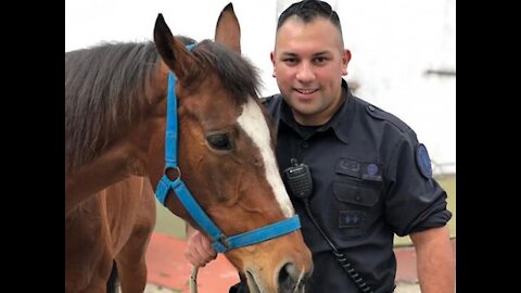 Police shot to the legs of a man with a knife, the officer ended stabbed to death