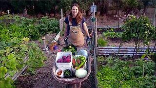 The 3 Busiest Months Growing Your Own Food - Free Range Homestead Ep 45