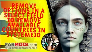 Remove options in a select field to remove available countries in SystemeIO