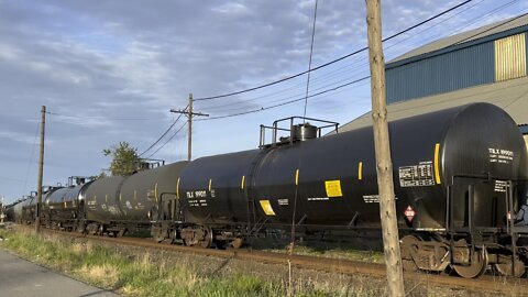 VIA, CN Local, late CP Westbound at Cobourg