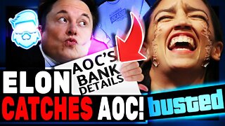 Elon Musk Tricks AOC Into Exposing A HUGE Campaign Funding Lie! Alexandria Ocasio-Cortez Embarrassed