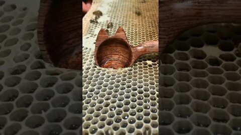 Another Honey Extraction